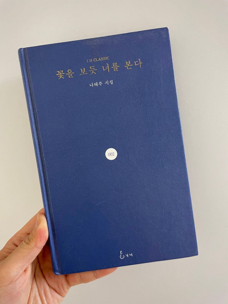 나태주 시인 시집 꽃을 보듯 너를 본다