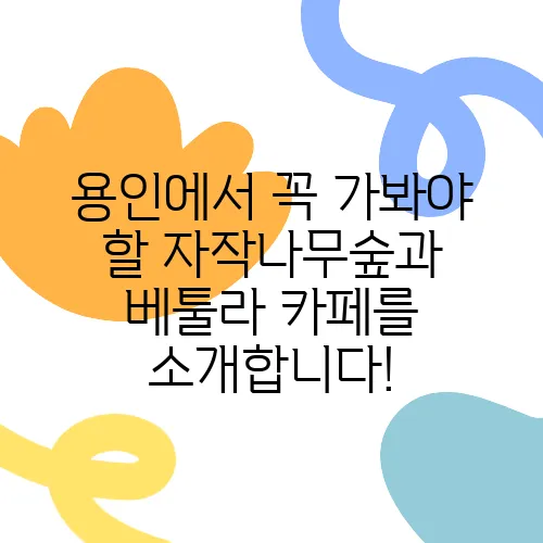 용인에서 꼭 가봐야 할 자작나무숲과 베툴라 카페를 소개합니다!