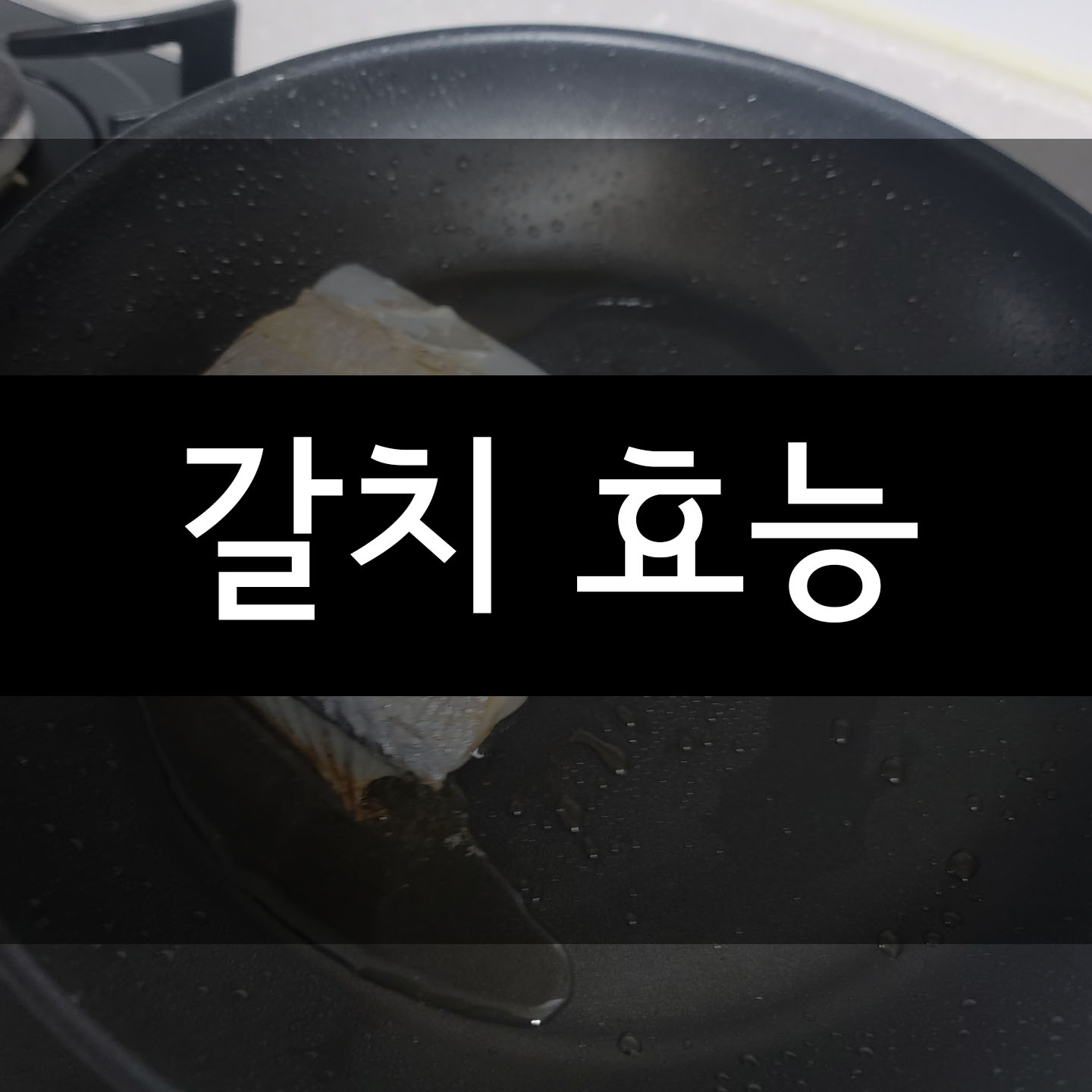  갈치 효능 BEST7