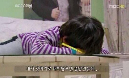  내가 강아지로 태어났으면 좋았을텐데