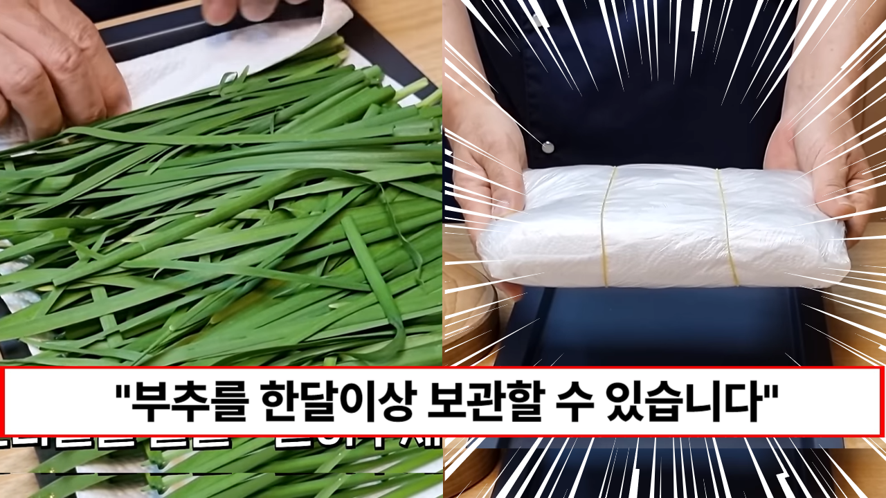 “한달이 지나도 싱싱합니다” 셰프님이 알려주는 남은 부추 오래도록 싱싱하게 보관하는 방법 “한달이 지나도 싱싱합니다” 셰프님이 알려주는 남은 부추 오래도록 싱싱하게 보관하는 방법