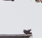경복궁 교태전 예약