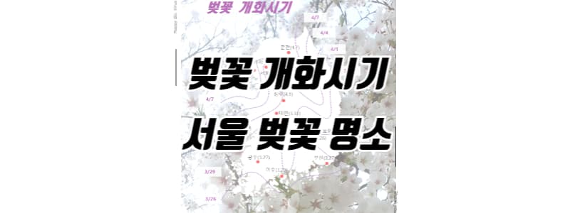 벚꽃 개화시기와 서울 벚꽃 명소 썸네일 이미지