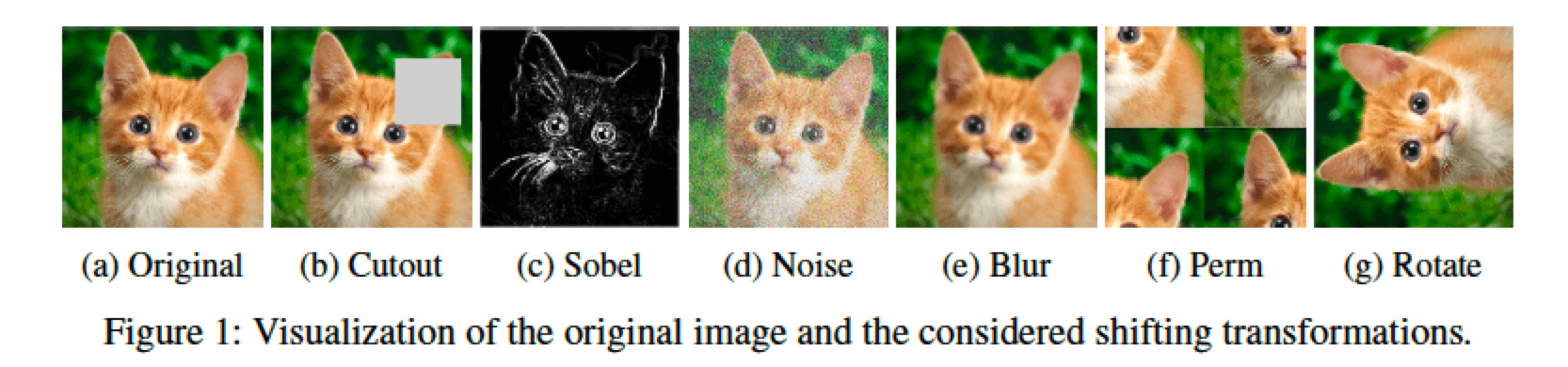 그림15. 다양한 Transformation 예시