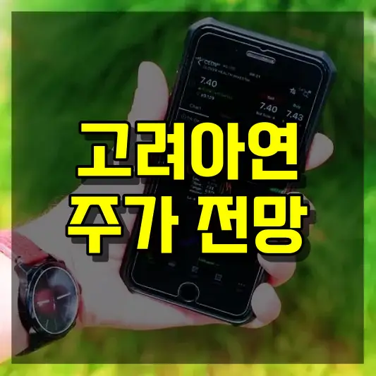고려아연 주가 전망