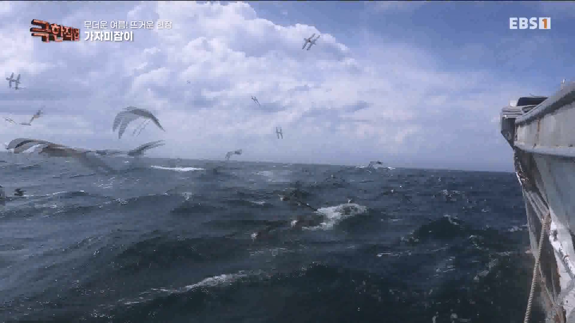 [극한 직업] 가자미잡이와 추어탕 230819.mp4_20230823_203256.107.jpg