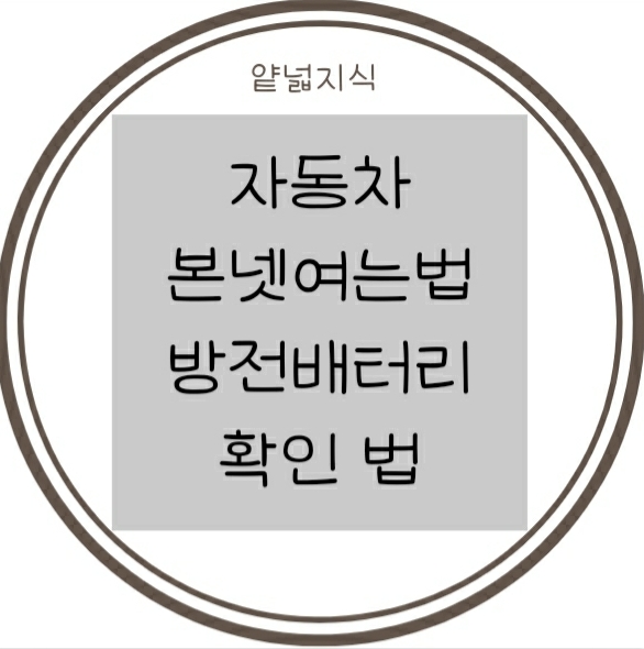  [자동차] 배터리 상태 확인하는 방법, 본네트 여는 방법