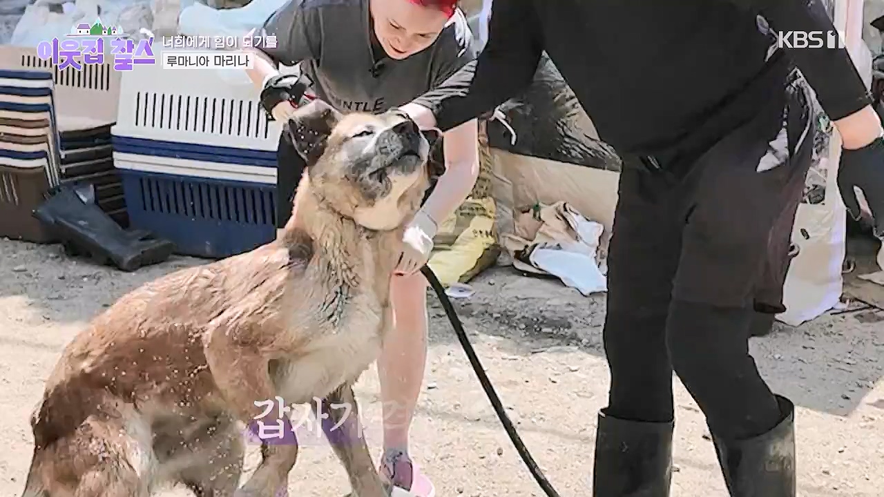 이웃집 찰스.E443.240703p-NEXT.mp4_20240703_200914.354.jpg