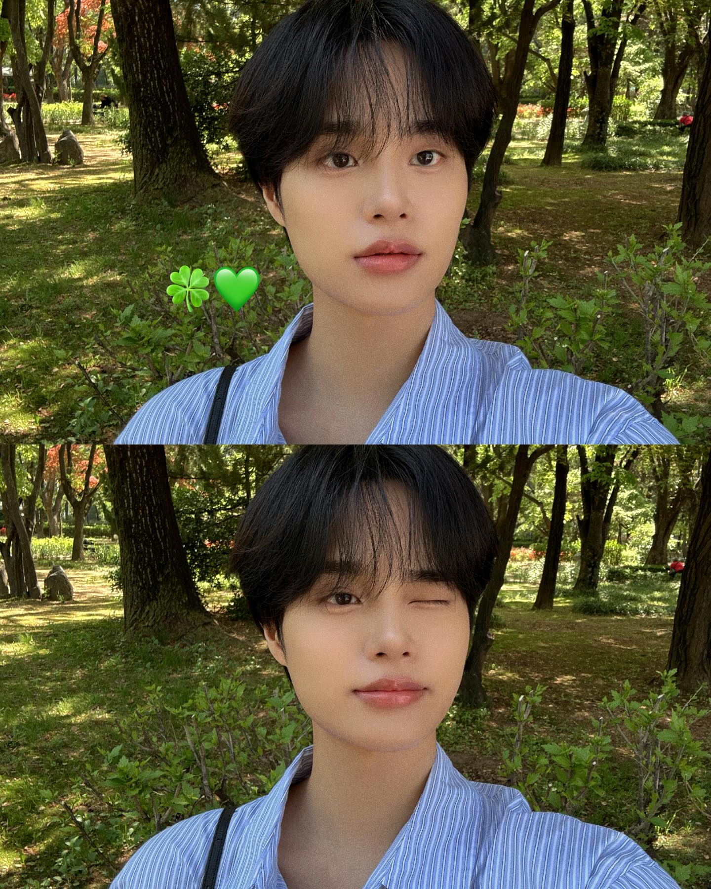 휘 이미지