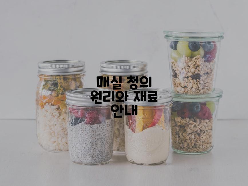 매실 청의 원리와 재료 안내