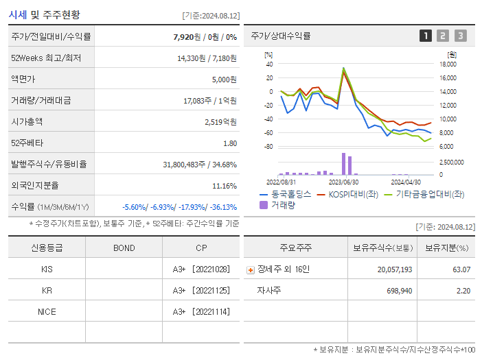 동국홀딩스_기업개요