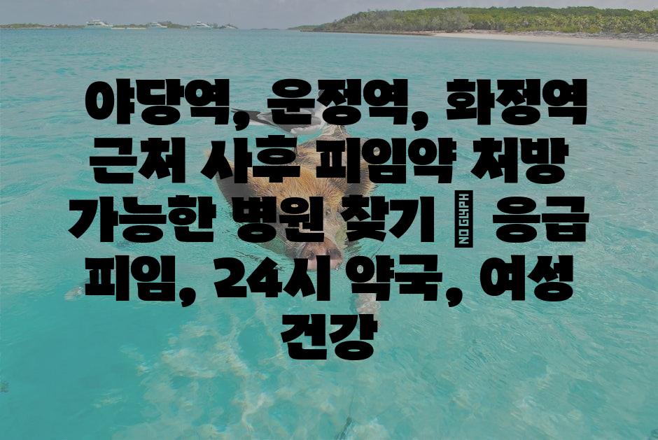 샘플 (1)