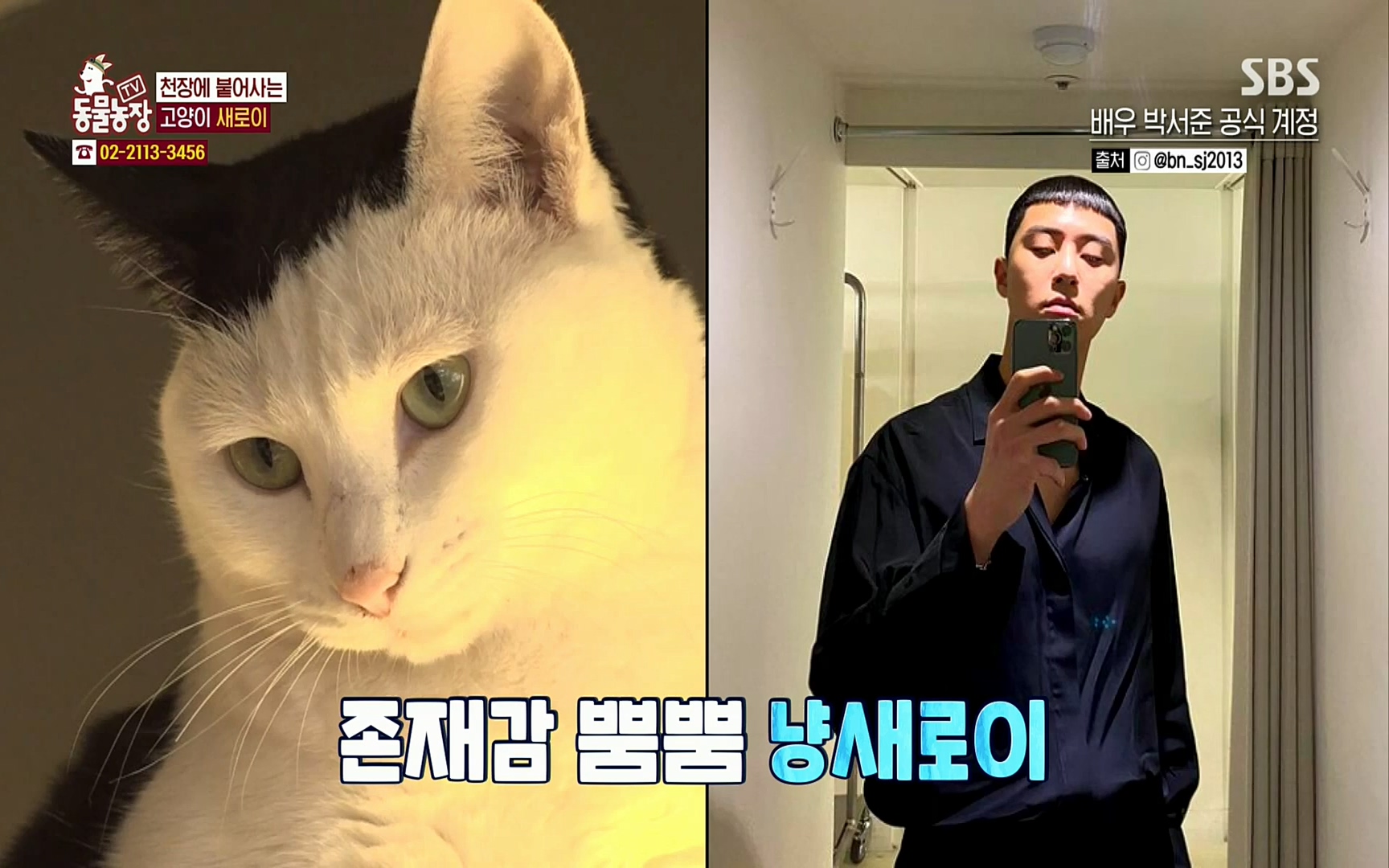 TV 동물농장.E1066.220424p.H264-F1RST.mp4_20220424_201030.478.jpg