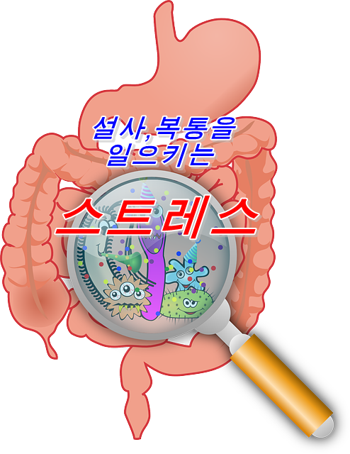  뇌가 스트레스를 받으면 설사나 변비의 복통을 일으키는 과민성장증후군(IBS)이란
