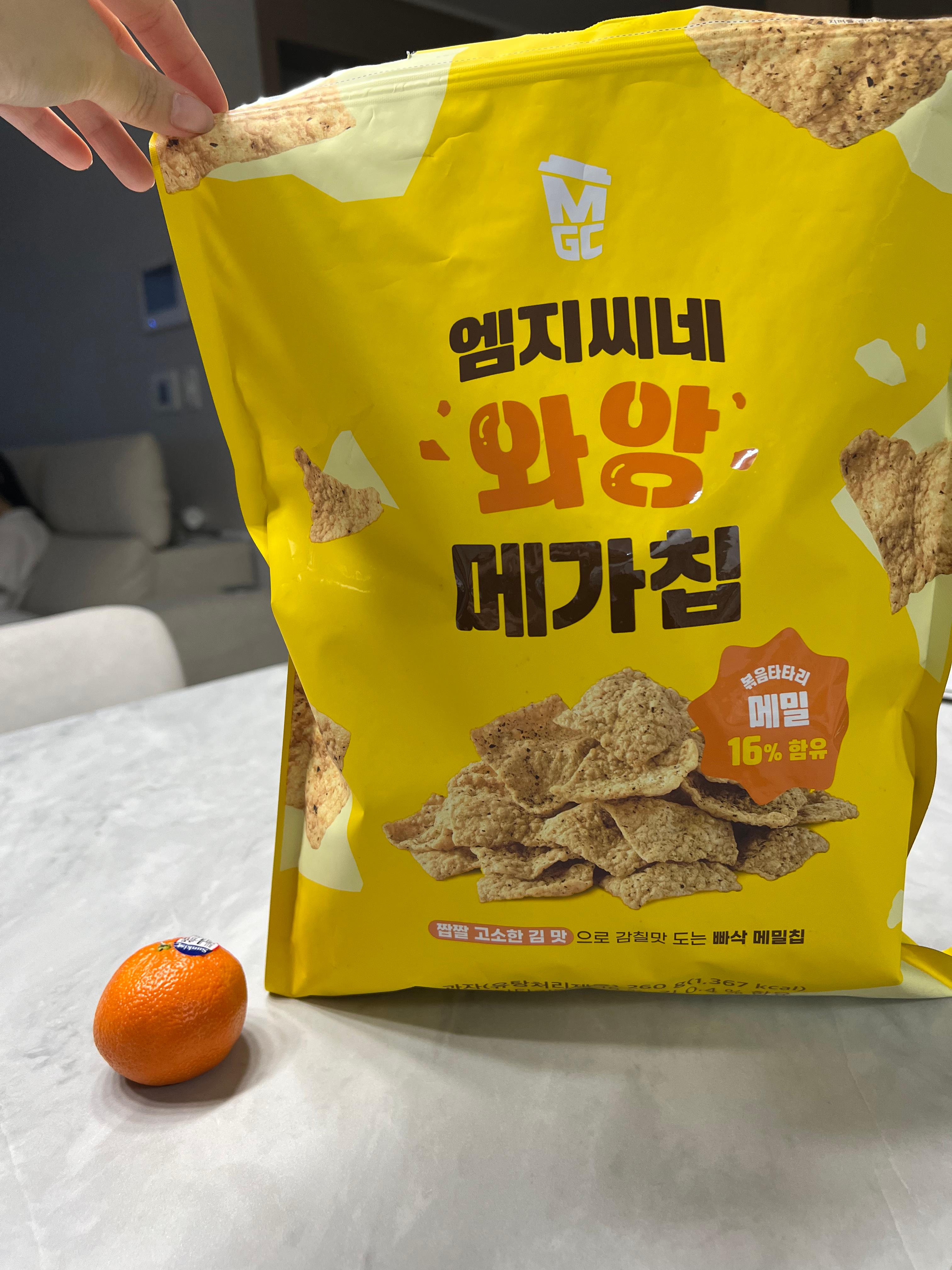 와앙 메가칩 크기 비교