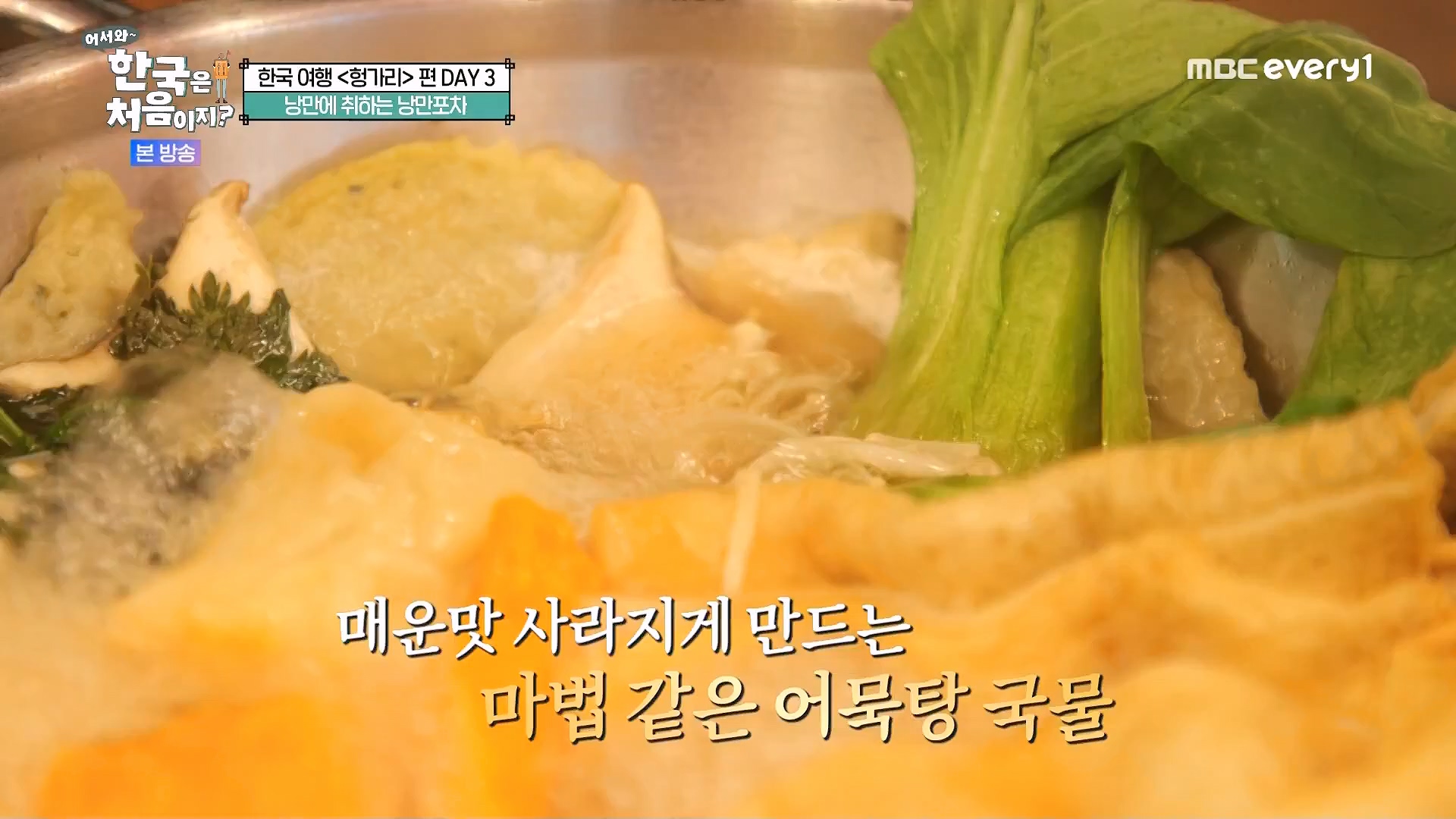 어서와 한국은 처음이지.E318.240613p.WANNA.mp4_20240615_164008.778.jpg