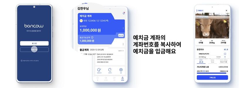 뱅카우에서-송아지를-구매하기전-회원가입과-예치금을-입금합니다