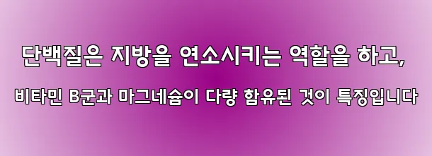  단백질은 지방을 연소시키는 역할을 하고, 비타민 B군과 마그네슘이 다량 함유된 것이 특징입니다