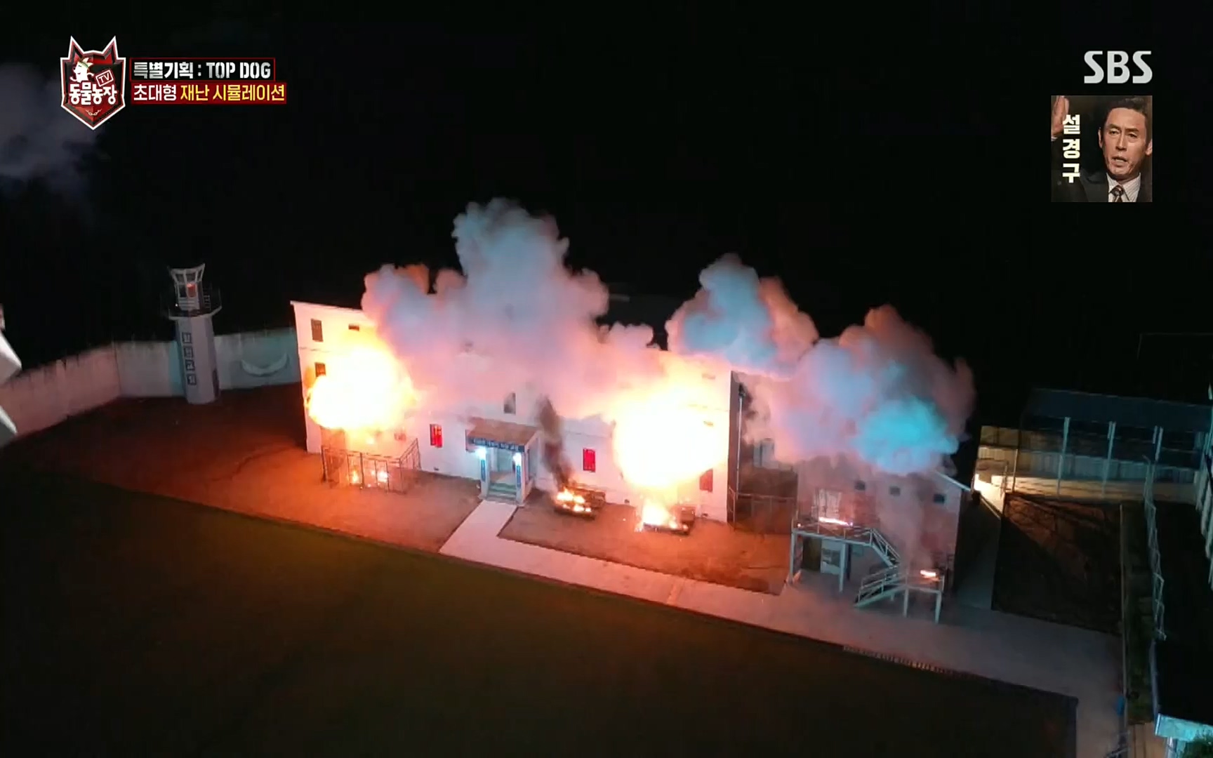 TV 동물농장.E1086.220911p.H264-F1RST.mp4_20220911_175411.856.jpg