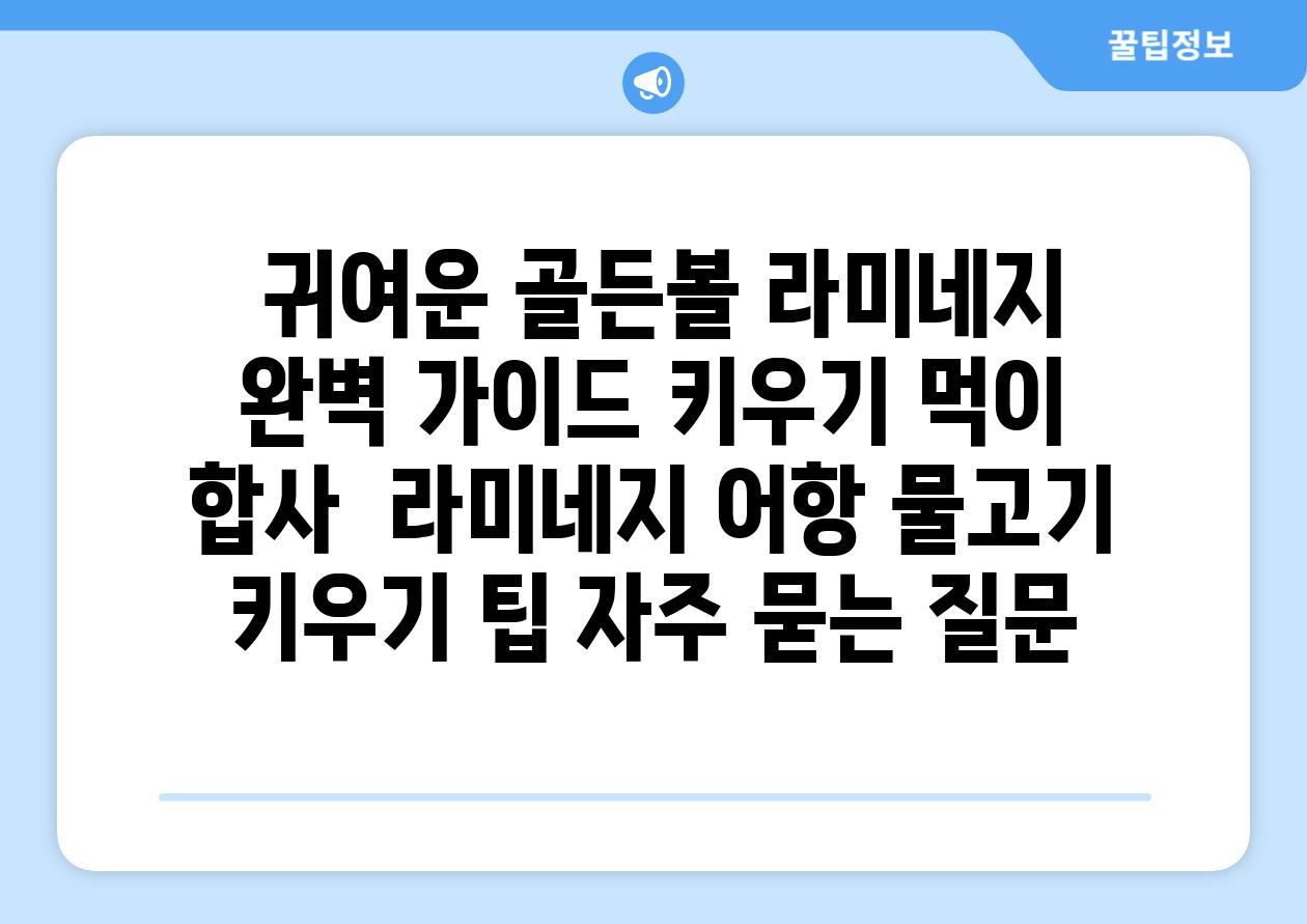 ## 귀여운 골든볼 라미네지 완벽 가이드| 키우기, 먹이, 합사 | 라미네지, 어항, 물고기, 키우기 팁