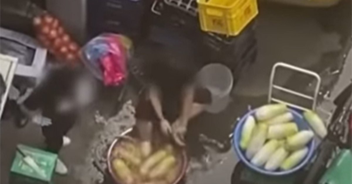  식약처 "방배동 족발집 덮치자, 사장 '올게 왔구나'하는 느낌 ...