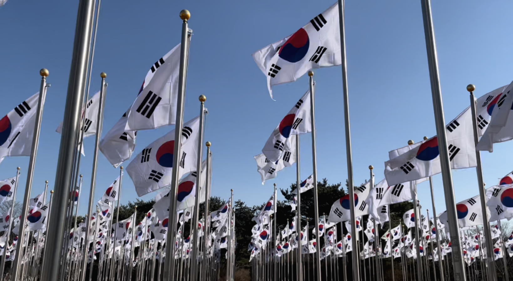 룰루파스타 이미지