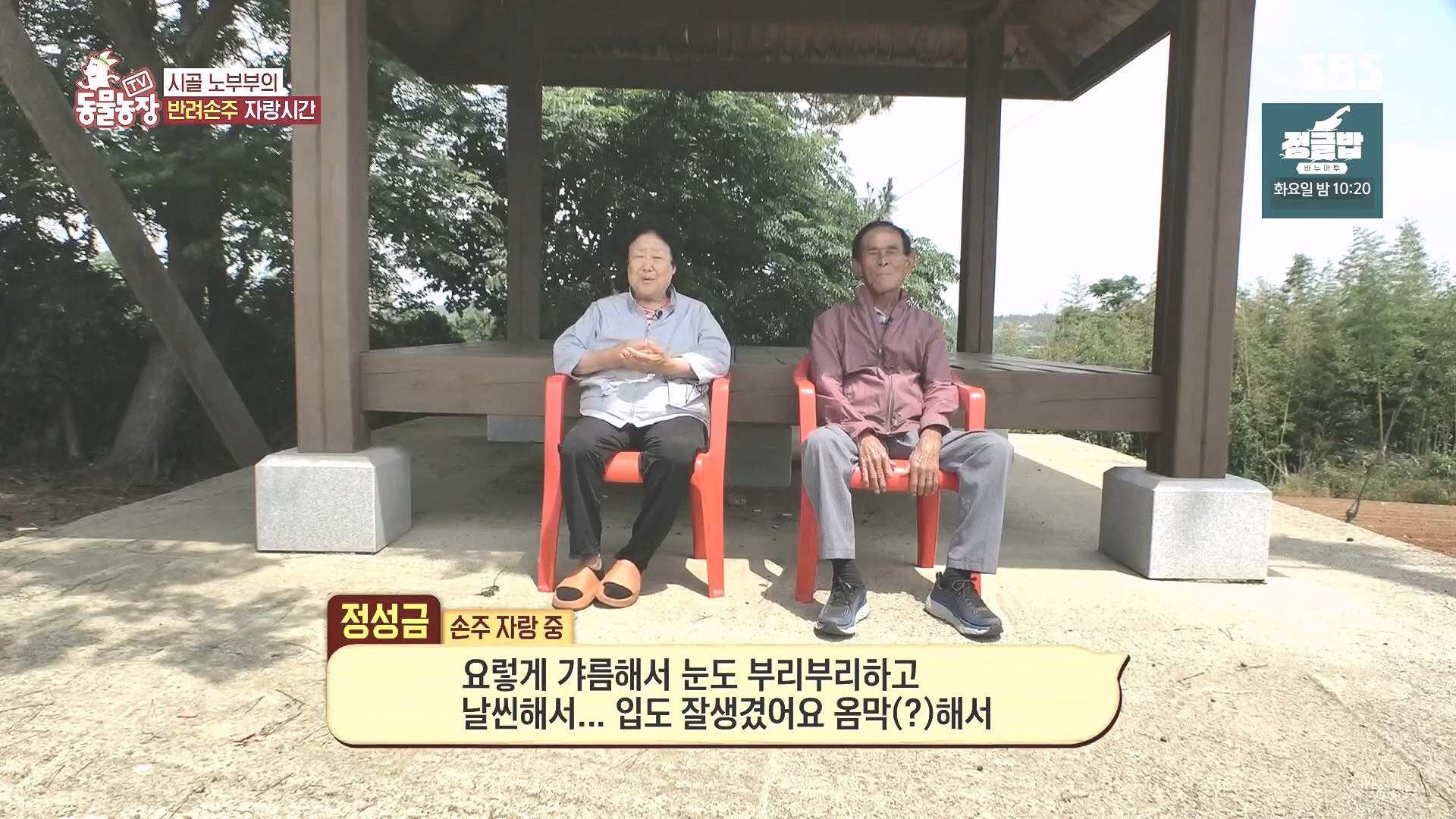 TV 동물농장.E1185.240818p.H264-F1RST.mp4_20240818_161555.998.jpg