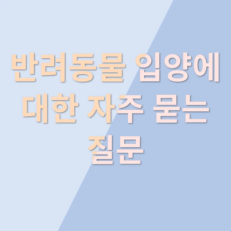 반려동물 입양_4