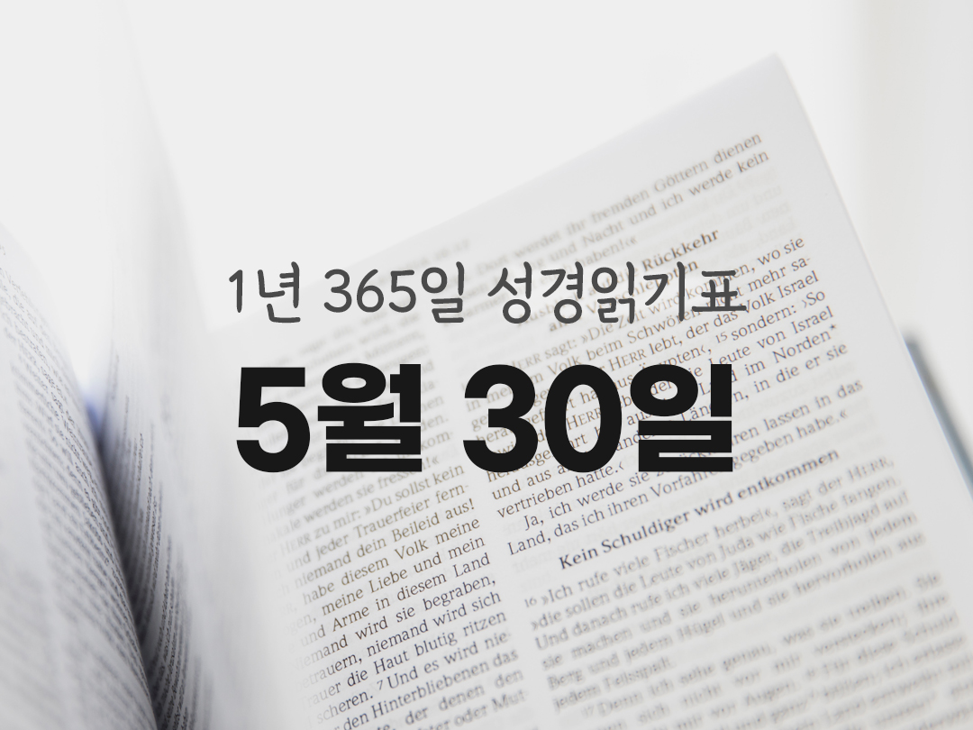 1년 365일 성경읽기표 5월 30일 욥기 성경읽기 진도표