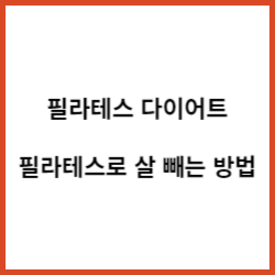 체중 감량 비결 필라테스로 살 빼는 방법