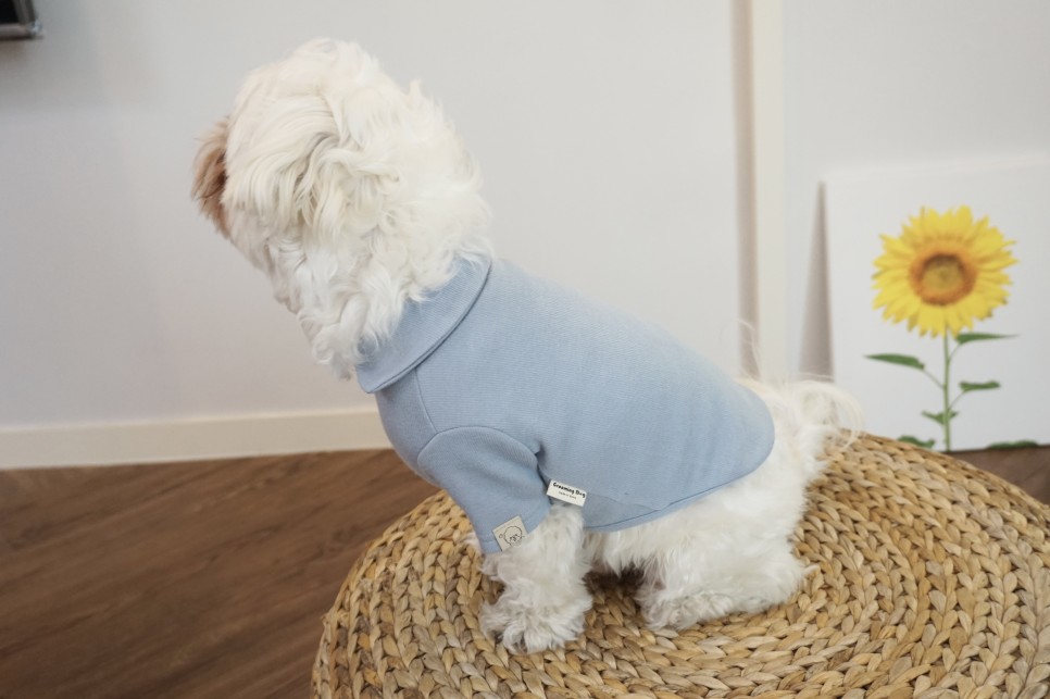 옷 쇼핑몰 강아지옷 쇼핑몰예쁜 39