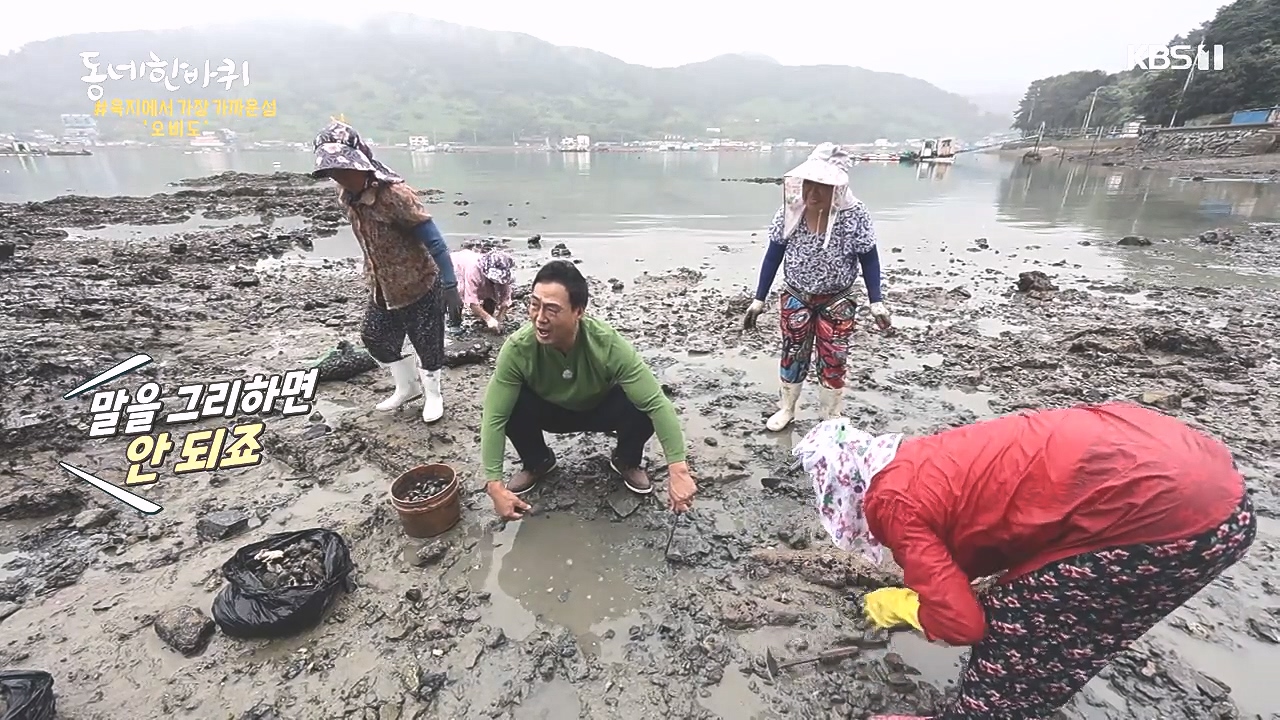 동네 한 바퀴.E243.231015p-NEXT.mp4_20231015_183631.367.jpg