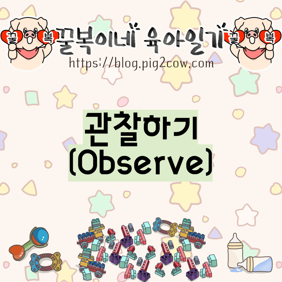  꿀복이네 육아일기 #69 관찰하기(Observe)