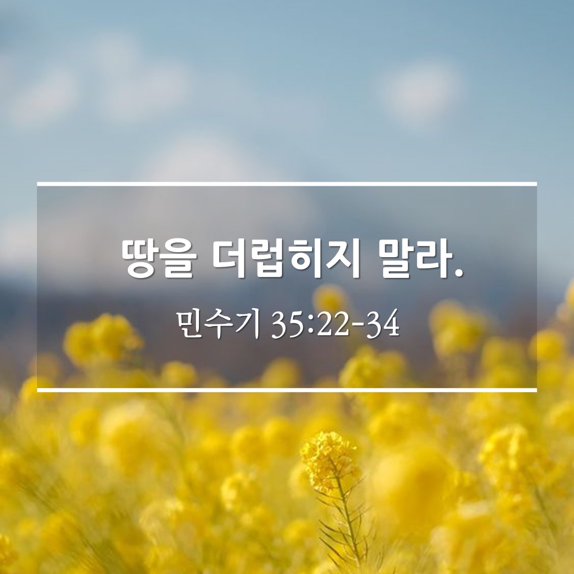  땅을 더럽히지 말라 / 민 35:22-34