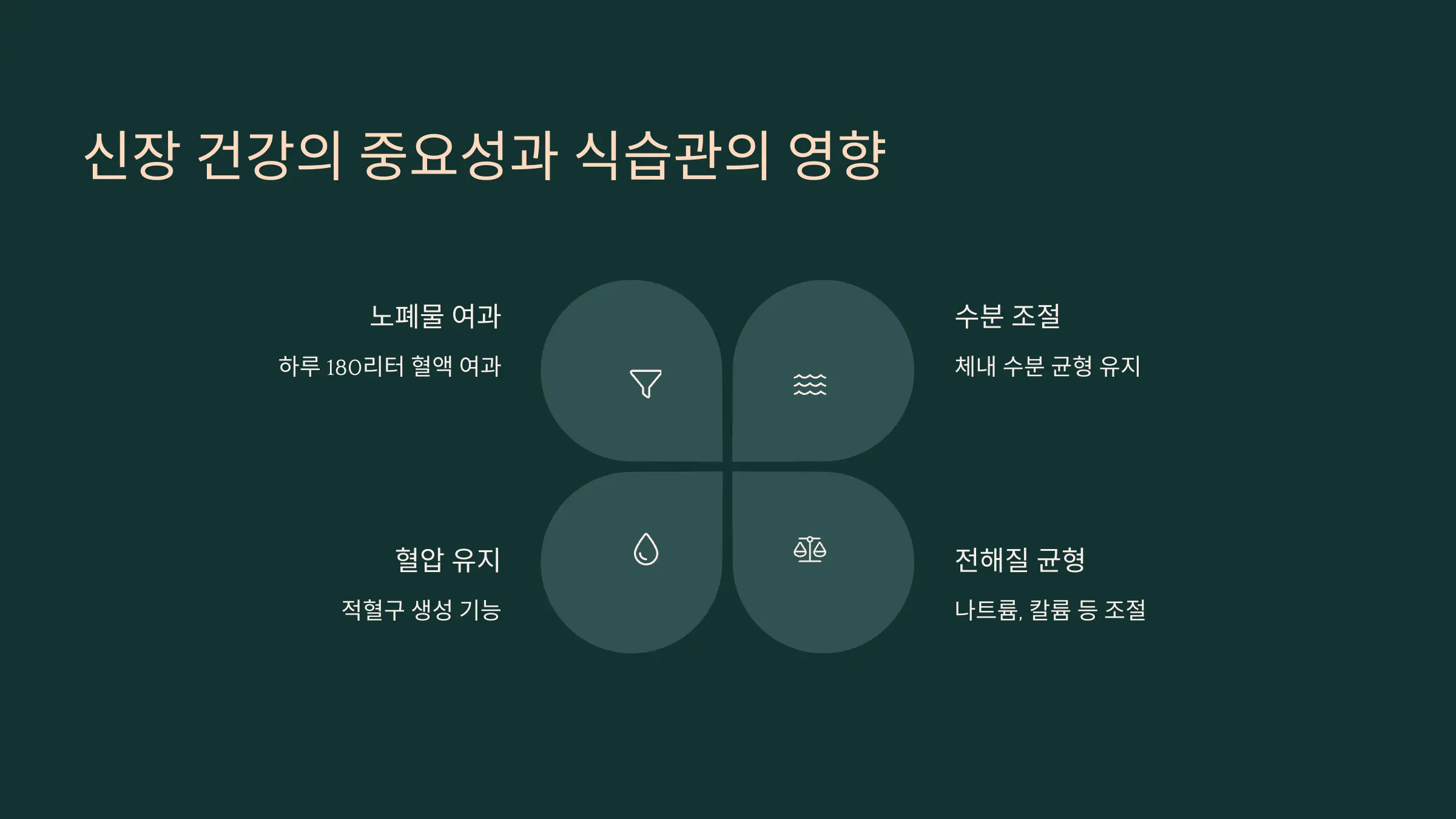 신장 건강의 중요성과 식습관의 영향