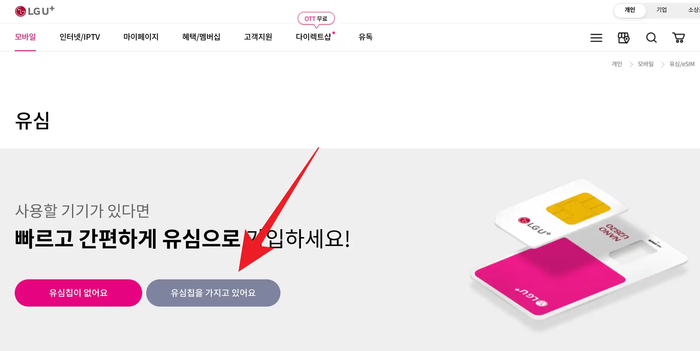 LG U+ 유심