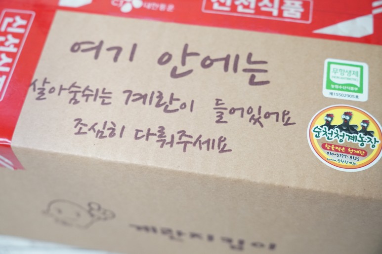 청계알 중요한 이라고 해요 [순천청계농장] 16