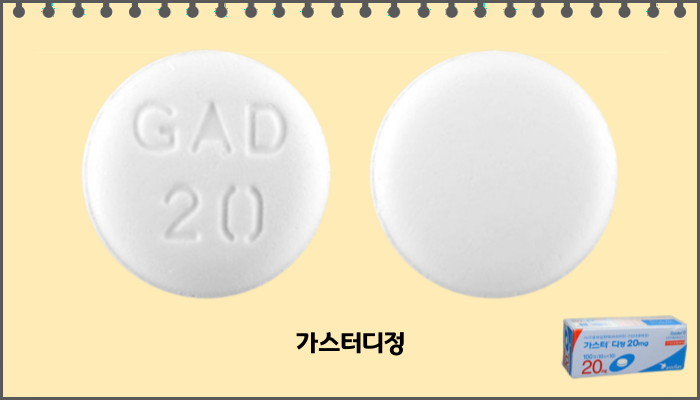 가스터디정_모양