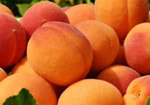  복숭아(Peach) 효능 및 먹는 방법