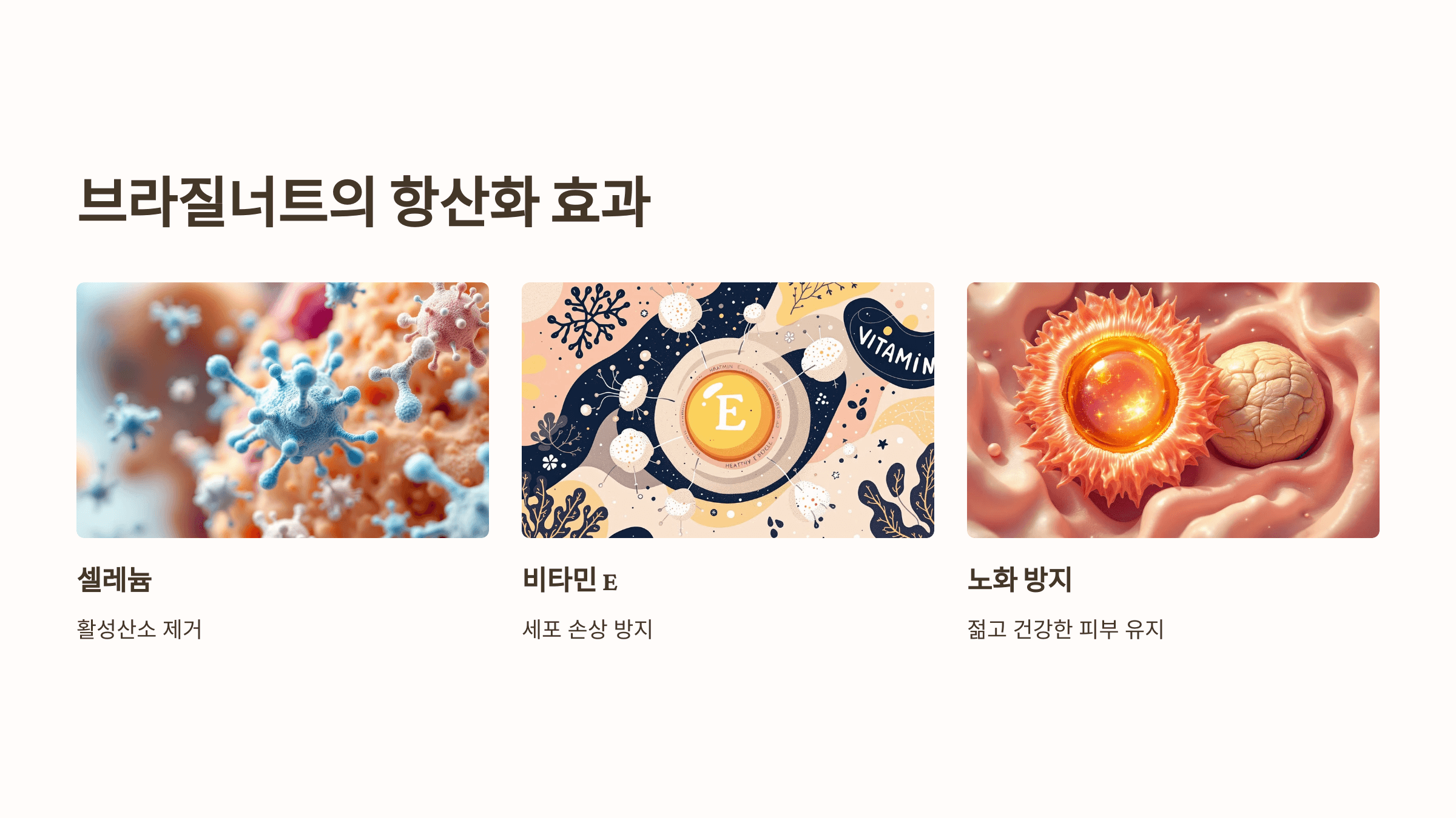 브라질너트 사진입니다.