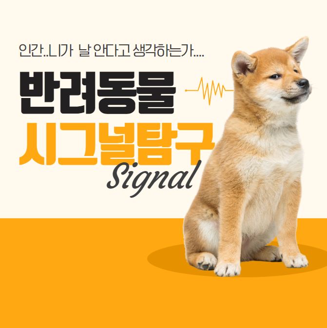  강아지가 만지면 싫어하는 부위