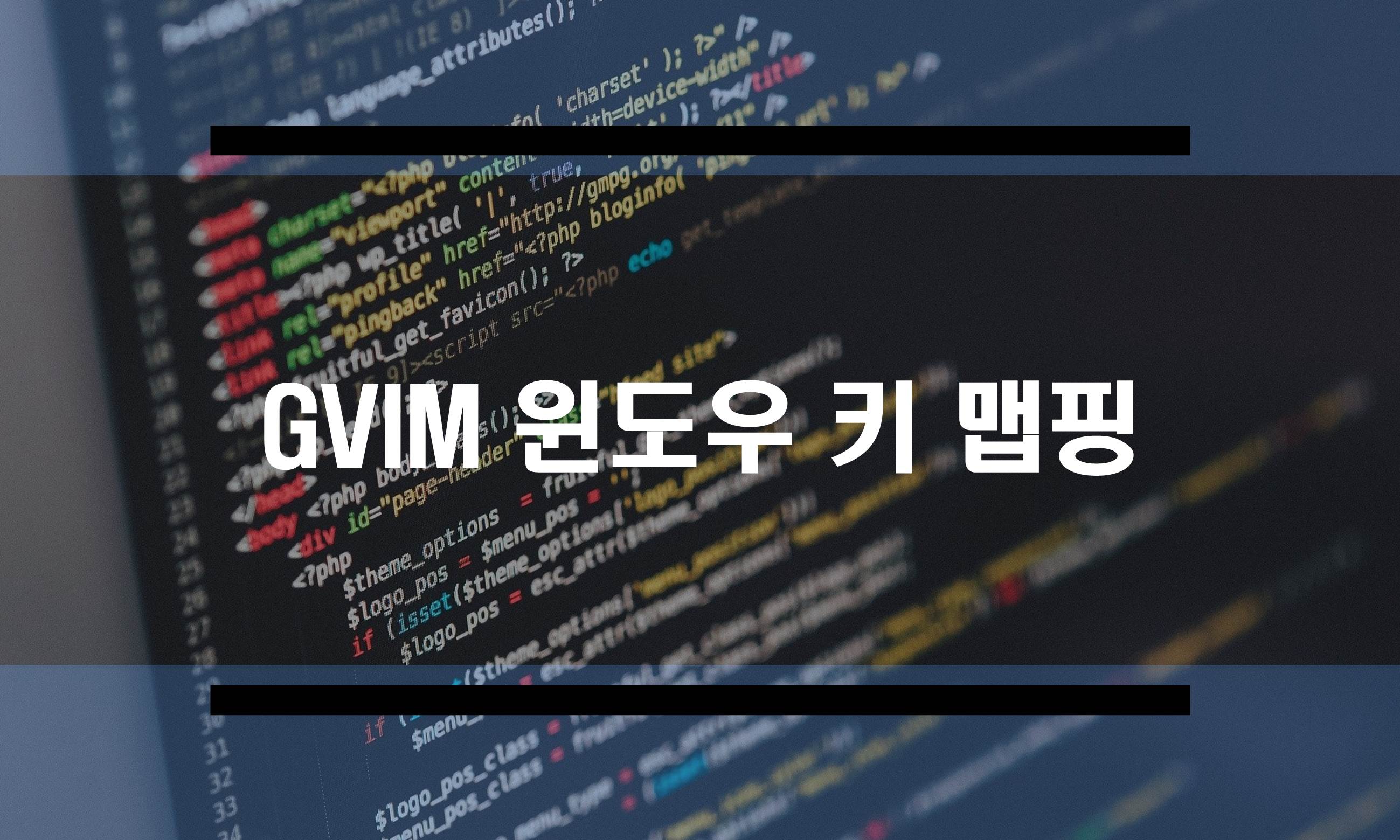  VIM 복사, 붙여넣기 윈도우용 키 맵 설정