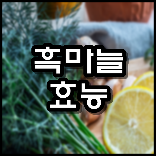  흑마늘 효능