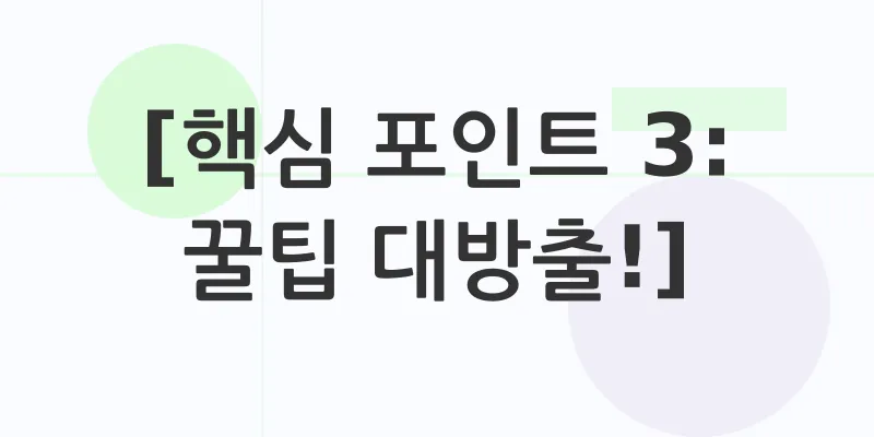 여수 유월드 루지_2_subsection