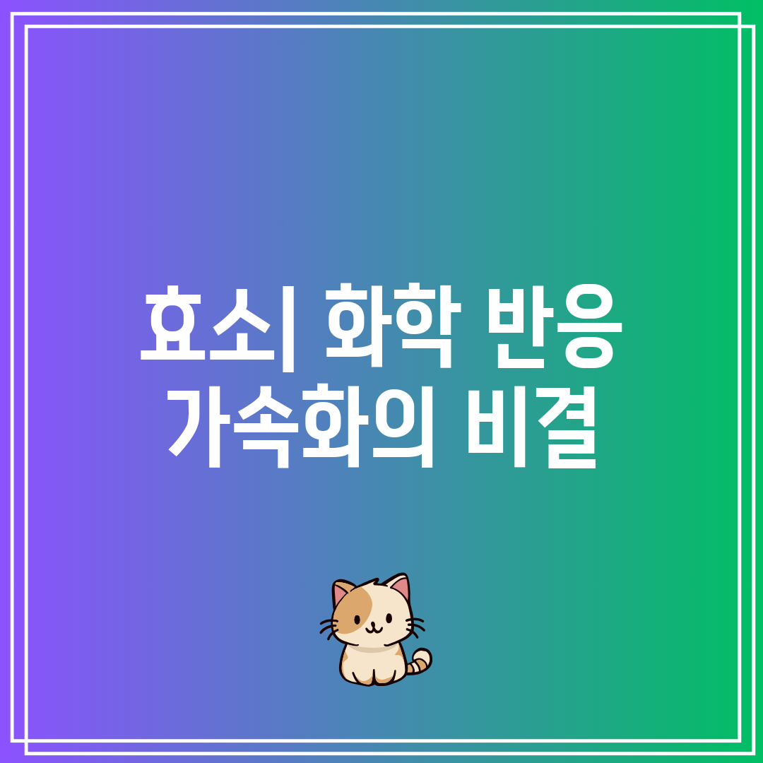 효소 화학 반응 가속화의 비결