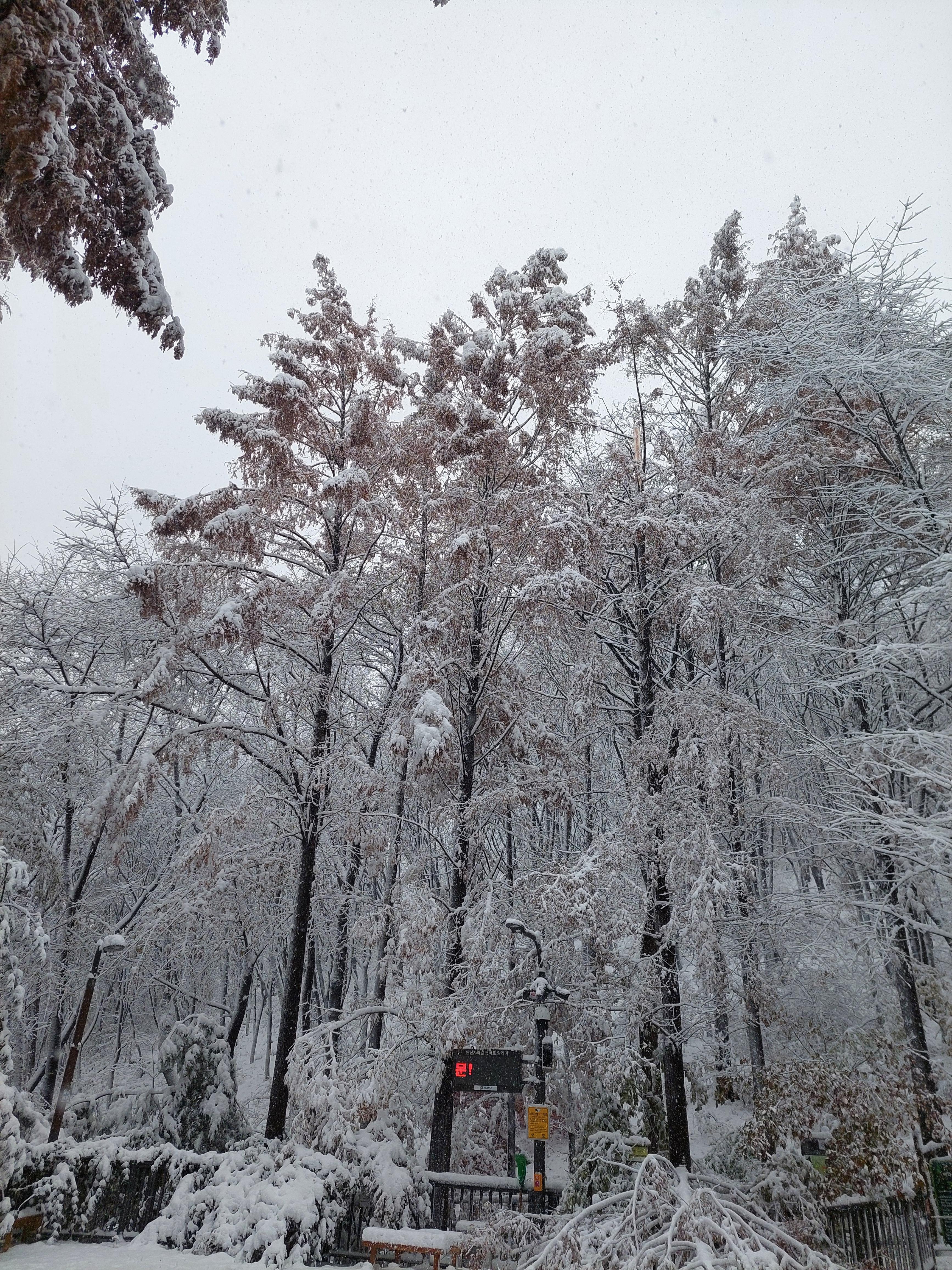백련산안산