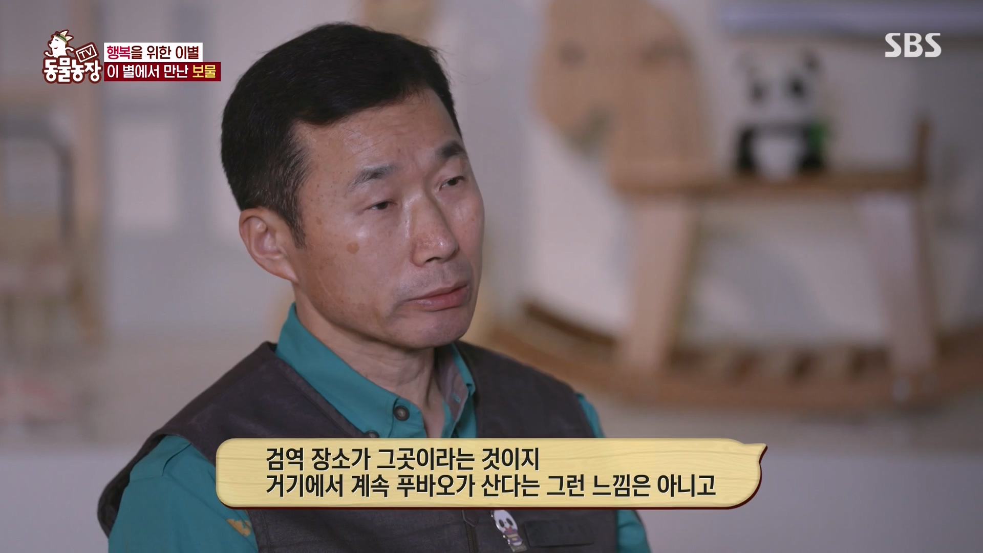 TV 동물농장.E1166.240407p-NEXT.mp4_20240407_164507.896.jpg