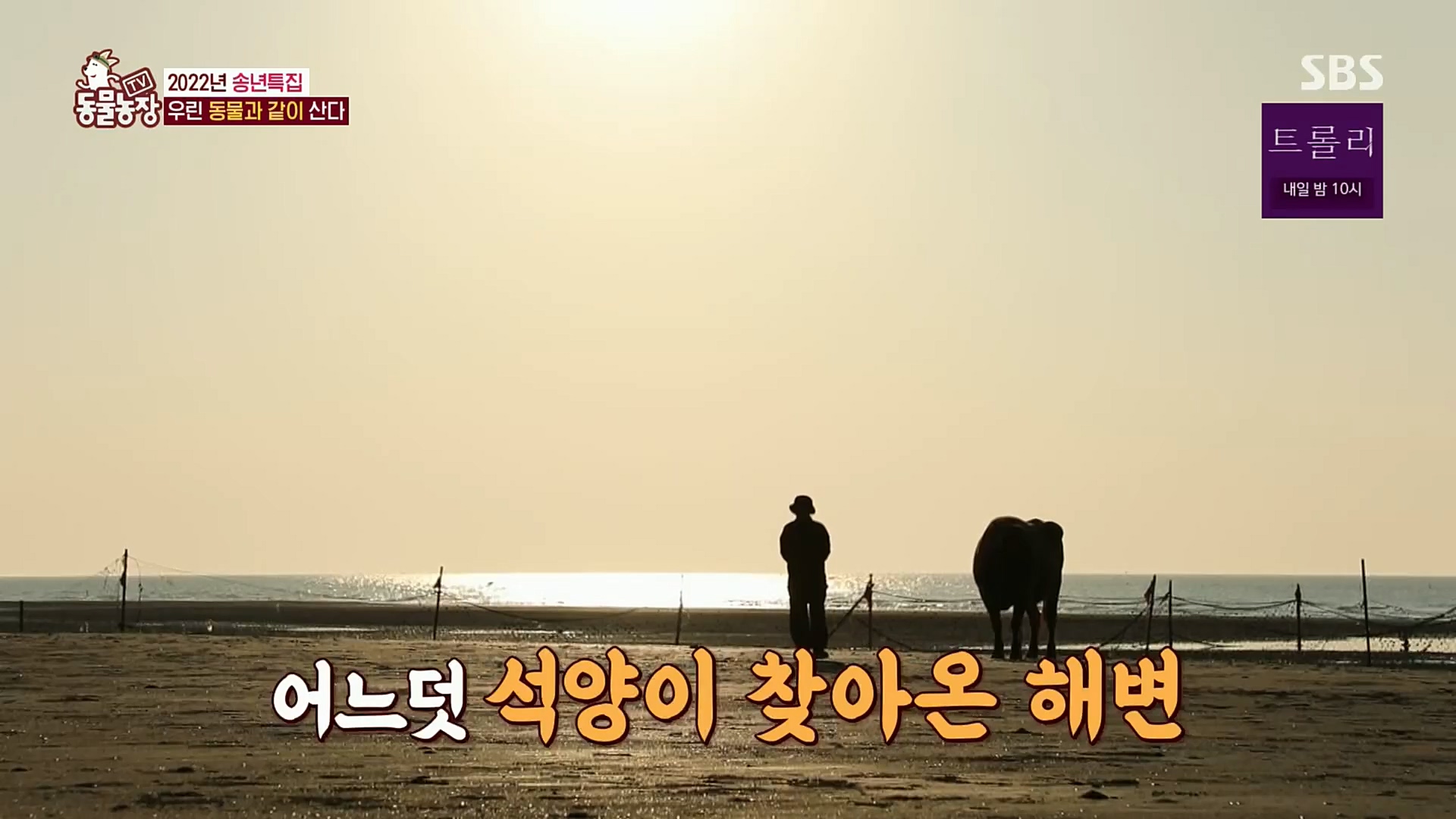 TV 동물농장.E1101.221225p.H264-F1RST.mp4_20221225_190259.701.jpg