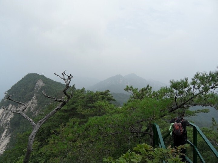  단양 황정산 [윗점~황정산~대흥사]
