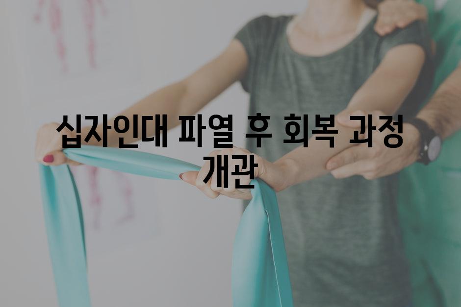 십자인대 파열 후 회복 과정 개관